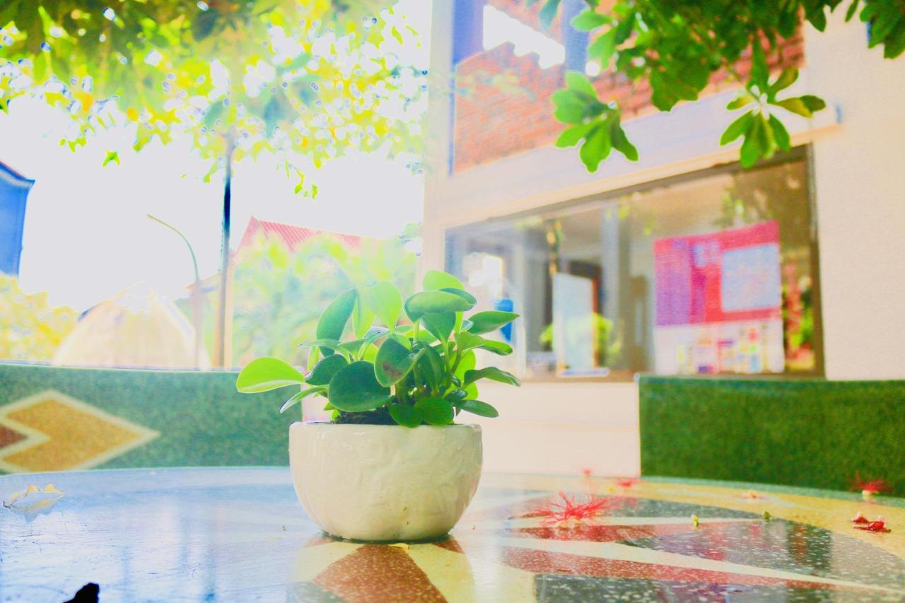 Riverview Homestay ドンホイ エクステリア 写真